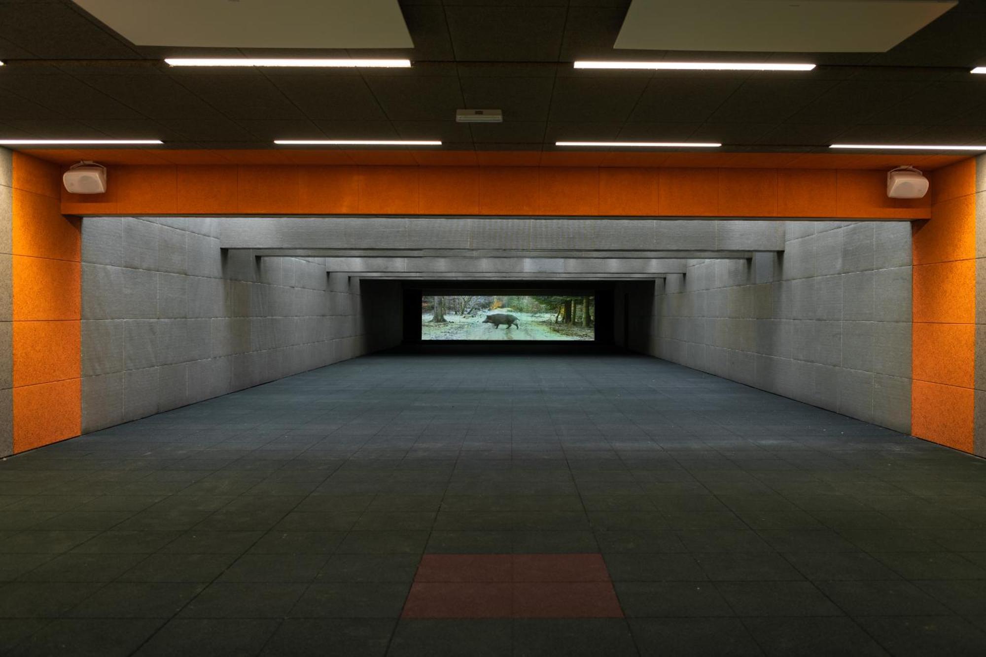 Target World Hunter'S Lodge Landscheid Bagian luar foto