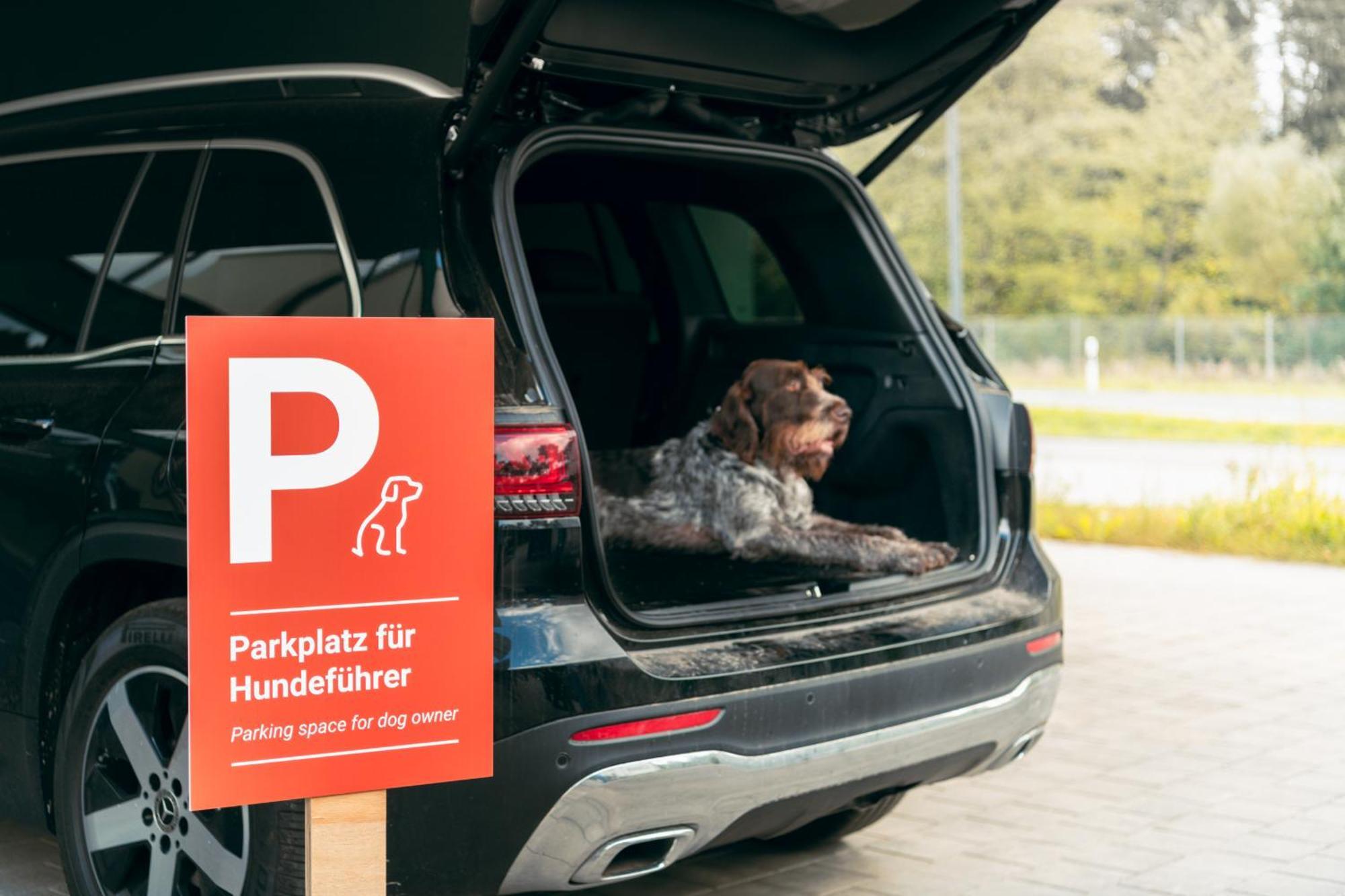 Target World Hunter'S Lodge Landscheid Bagian luar foto